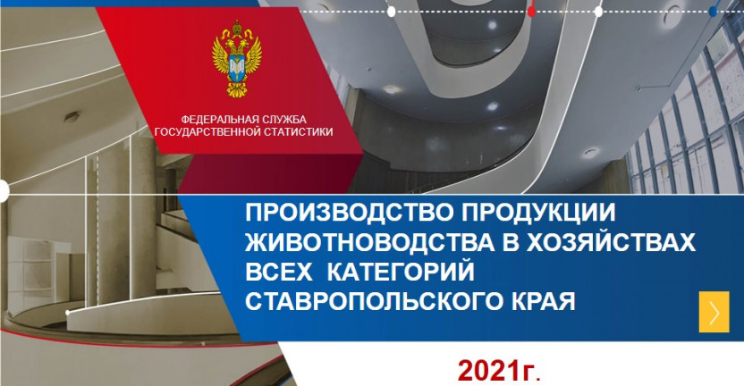 Производство продукции животноводства в хозяйствах всех категорий Ставропольского края за 2021 год